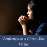Gentleness as a Christ-like Virtue